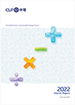 2022 Interim Report
